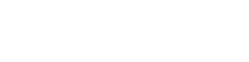 developing sustainability