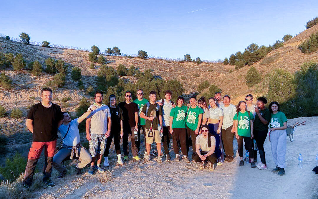 equipo cromogenia en la plantada de árboles