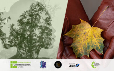 Bio and Eco Friendly Leather Products